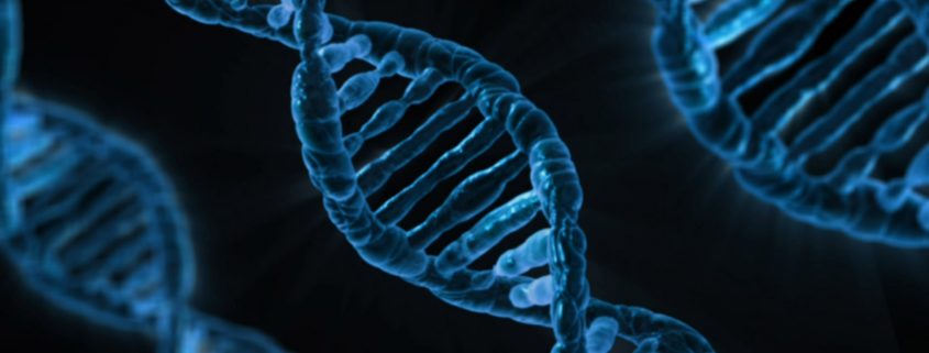 dna